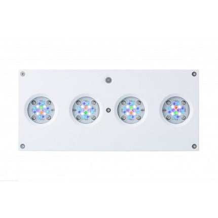 pantalla led ai hydra 64 para acuarios con peces marinos