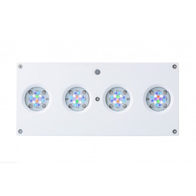 pantalla led ai hydra 64 para acuarios con peces marinos