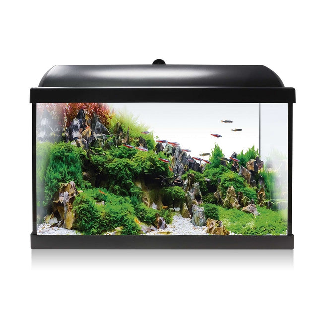 Acuario Aqualed RGB con acquascaping