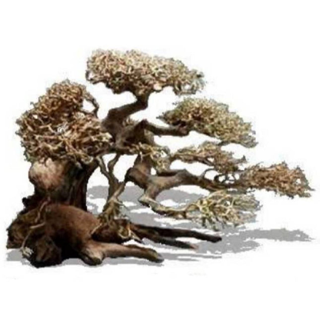 Bonsaqua Bonsai Caída Derecha