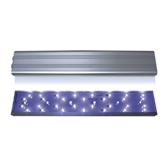 Eco Sirius Led