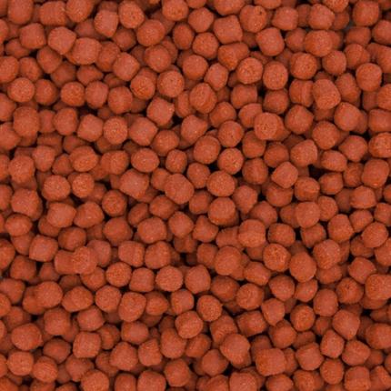 Ocean Nutrition Formula One Granulado