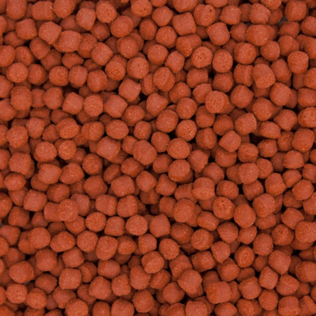 Ocean Nutrition Formula One Granulado