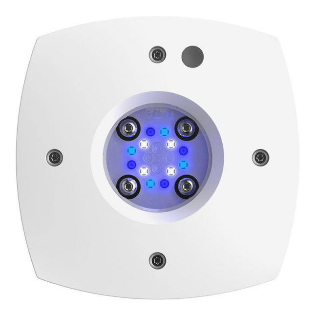 AI Prime 16 HD 46 W Sol