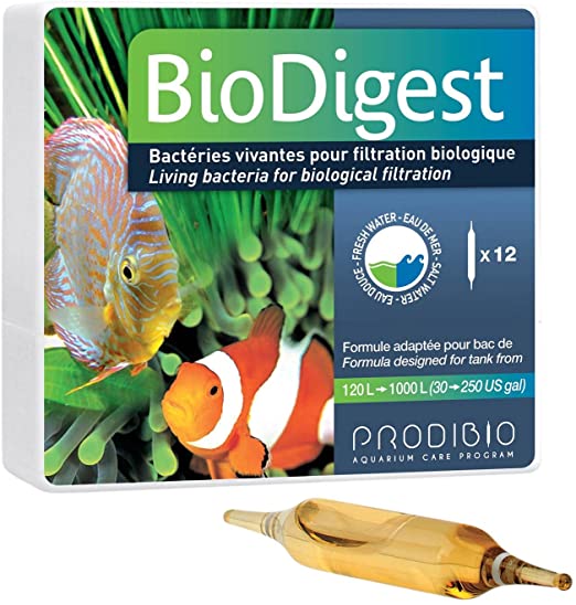 Prodibio Biodigest