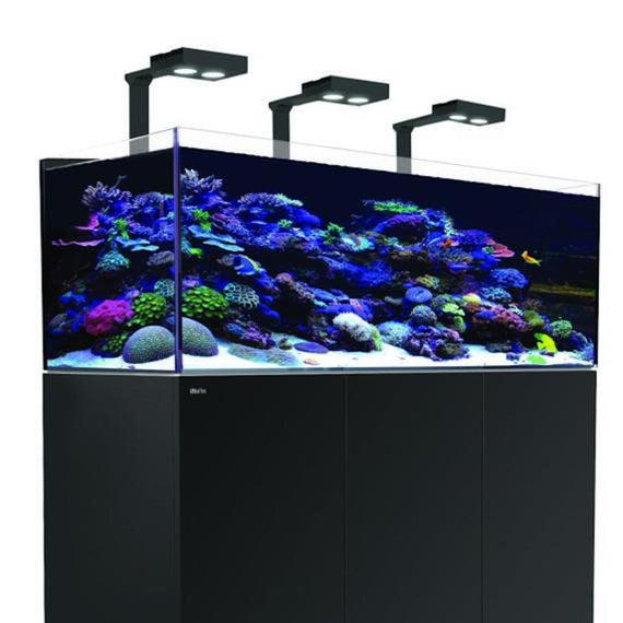Acuario Red Sea Reefer de 625 litros