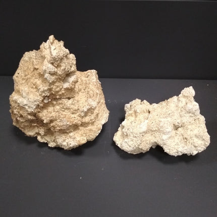 roca cerámica ecosistema