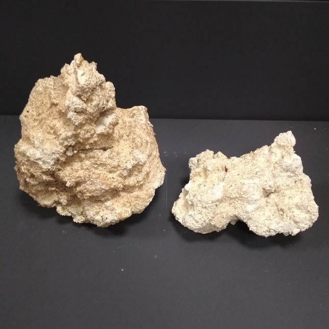 roca cerámica ecosistema