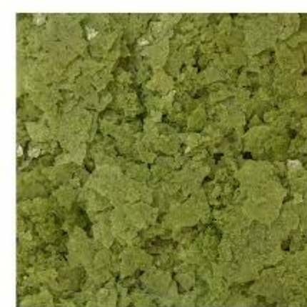 Ocean Nutrition Spirulina Flakes